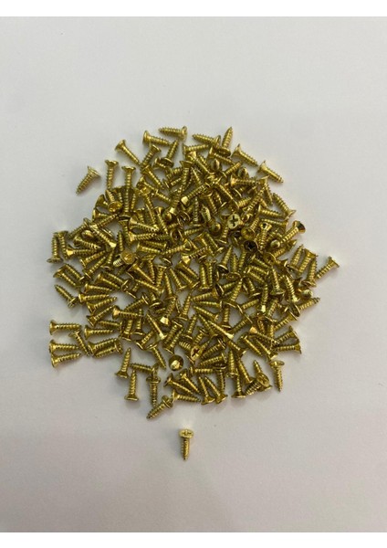 Dmr 100 Adet 2.2x7.5 mm Sac Vidası (100 Adet)