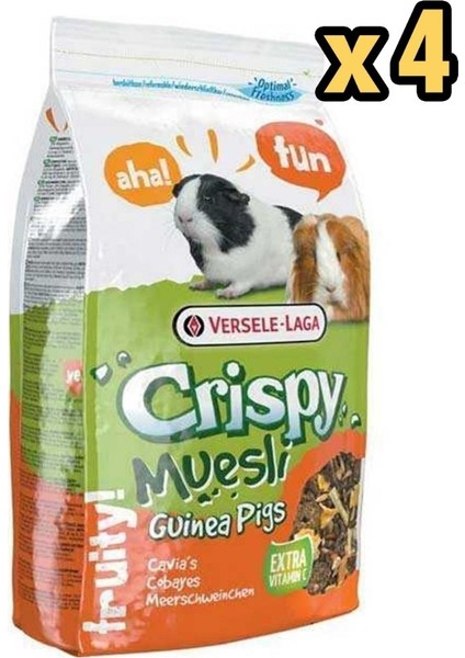 Crispy Muesli Guinea Pig Yemi 1 kg x 4 Adet