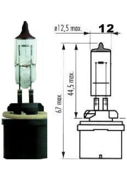 Ap 48041 12V 27W H27 PG13 Düz Soketli Ampul