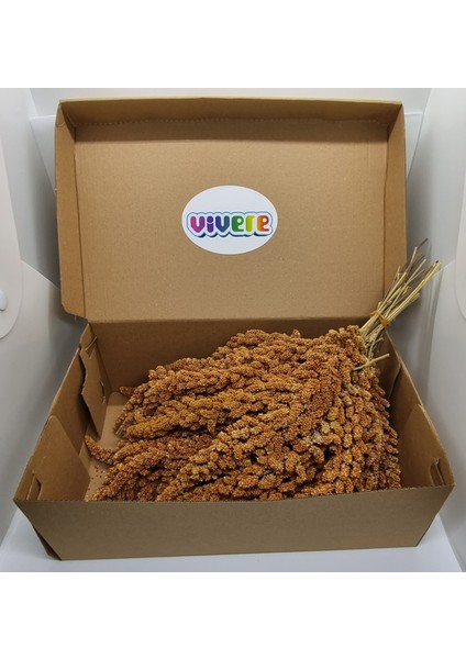 Kızıl Dal Darı 500 gr