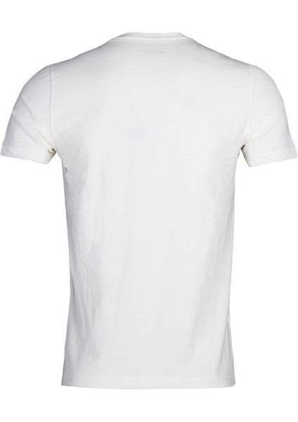 11CT1324 ml Aleron Tişört Erkek T-Shirt