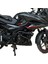 Bajaj Pulsar F 250 Koruma Demiri 4