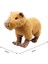 Capybara Peluş Oyuncaklar (Yurt Dışından) 1