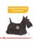 Mini Dermacomfort Yetişkin Köpek Maması 3 kg - Farmapets 2
