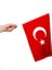 Sopalı Türk Bayrağı 40X60 cm Alpaka Kumaş - 10 Adet 1