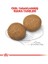 Medium Adult Yetişkin Köpek Maması 15KG - Farmapets 3