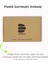 Durasocks Erkek-Kadın Uniseks, Sneakers Çorap, Görünmez Çorap, Antibakteriyel, Spor, Esnek, Dikişsiz Çorap (6 Çift) 5