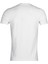 11CT1324 ml Aleron Tişört Erkek T-Shirt 2