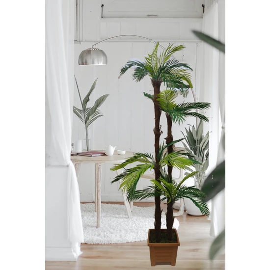 Cennet Home  Tropikal Areka Sıkas Palmiye Ağacı  Dört Gövdeli Ahşap Görünümlü Plastik Saksıda