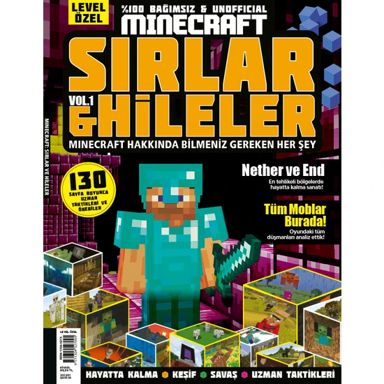 Doğan Burda Dergi Minecraft