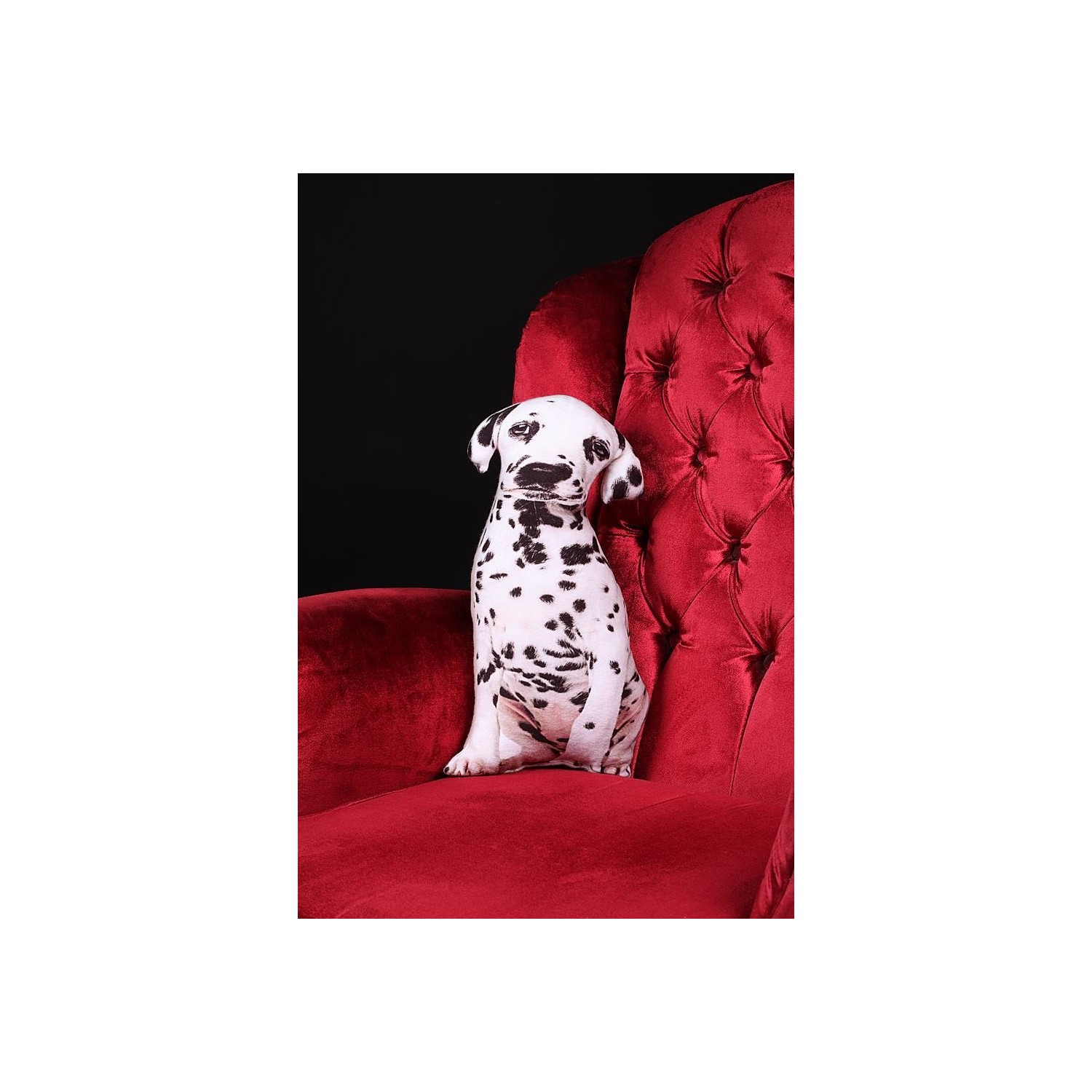Petelery PTL5018 Köpek Pet Yastığı Fiyatı Taksit Seçenekleri