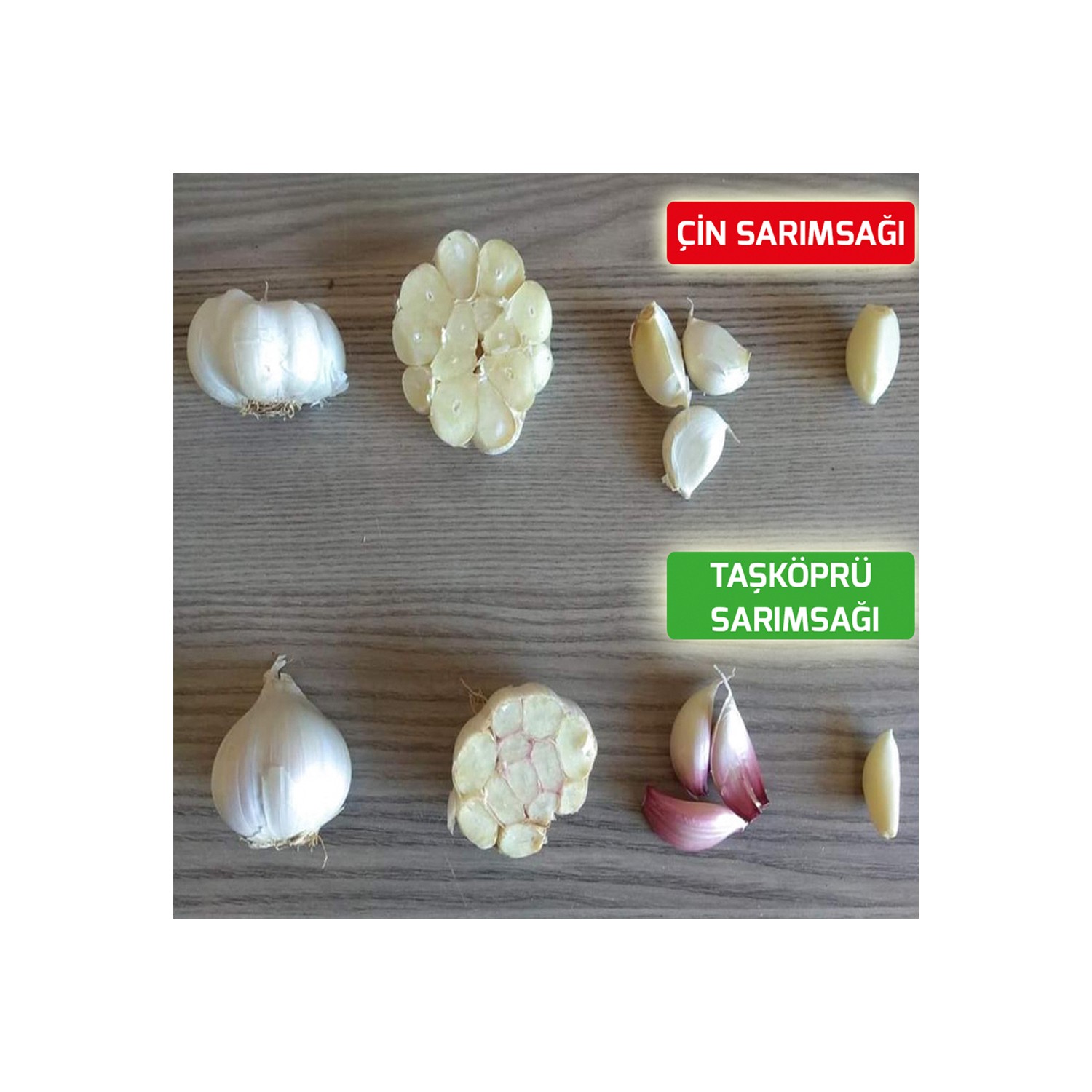 Kastamonu Taskopru Sarimsagi Iri Boy 500 Gram Taskopru Den Sarimsak Fiyati Ve Ozellikleri Gittigidiyor