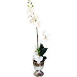 Veramaya Krom Ayaklı Saksıda 2 Dal Ikebana Tarzı Beyaz Orkide Aranjman Çiçek