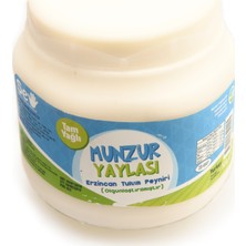 Seel Munzur Yaylası Erzincan Tulum Peyniri 500 gr Bidon