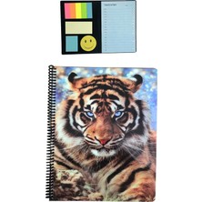 Fly Color Violin Notluk Set + Fly Color A4 Kaplan Desenli 80 Yaprak Kareli Spiralli Defter