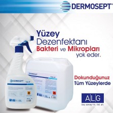 Dermosept Alet ve Yüzey Dezenfektanı Tools Af 4250 ml