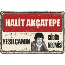 Hayat Poster Halit Akçatepe Yeşilçam Retro Ahşap Poster