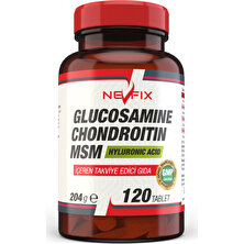 Glucosamine Chondroitin Msm 120 Tablet Collagen Kolajen 120 Tablet