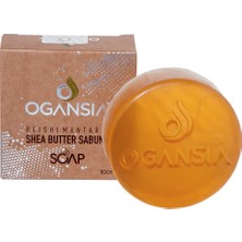 Ogansia Paraben Içermeyen, Bitki Özlü Reishi Butter Sabunu 100 gr