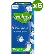 Molped Ilk & Son Gün Günlük Ped 16'lı x 6 Adet