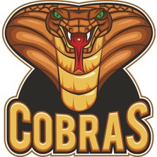 Stickermarket Cobras Sticker 30 x 29 cm