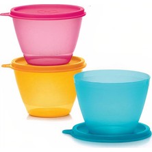 Tupperware Renkli Buzdolabı Kapları 3'lü