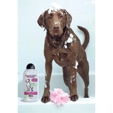 Wahl Clean & Calm 3999-7030 Okaliptüs ve Lavanta Özlü Yatıştırıcı 750 ml Köpek Şampuanı