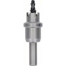 Bosch Tct Elmas Uçlu Panç 17Mm - 2608594128