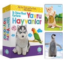 Circle Toys İlk Dokun Hisset Tanı Kartlarım Yavru Hayvanlar