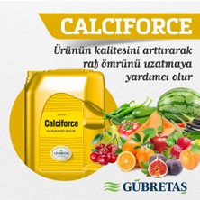 Gübretaş Yeşil Alanlar Süs Bitkileri Için Sıvı Gübresi 5 Lt