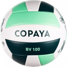 Decathlon Copaya Plaj Voleybolu Topu - 5 Numara - Yeşil / Kaplumbağa Deseni - Bv100 Classic