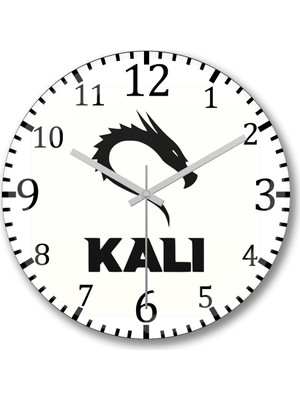 Baskı Dükkanı Kali Linux Duvar Saati Bombeli Gerçek Cam