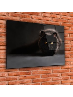 Disegno Siyah Kedi Cam Tablo  50 x 70  Uv Baskı  Temperli