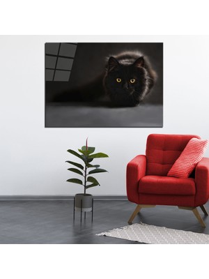 Disegno Siyah Kedi Cam Tablo  50 x 70  Uv Baskı  Temperli