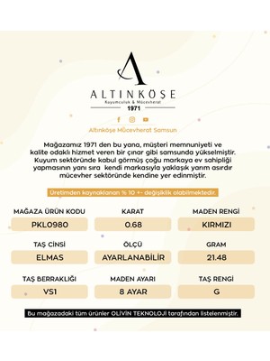 Altınköşe Mücevherat Altınköşe Kuyumculuk 0.68 Crt Elmas Fantezi Kolye