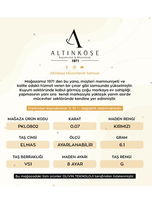 Altınköşe Mücevherat Altınköşe Kuyumculuk 0.07 Crt Elmas Kasırga Kolleksiyon Kolye