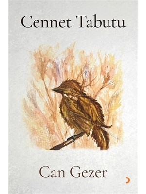 Cennet Tabutu - Can Gezer