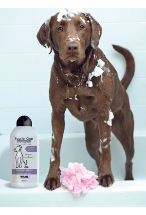 Wahl Kopek Sampuanlari Ve Malzemeleri Hepsiburada Com