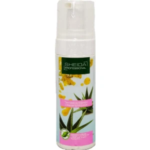 Temizleme Köpüğü 150 ml