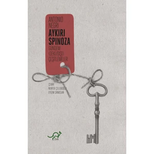 Aykırı Spinoza - Antonio Negri