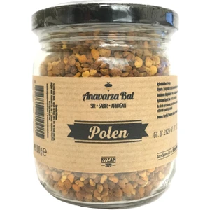 Bal | Polen 100 gr