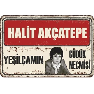 Hayat Poster Halit Akçatepe Yeşilçam Retro Ahşap Poster