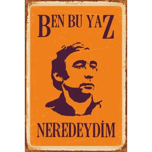 Hayat Poster Ben Bu Yaz Neredeydim Şener Şen Yeşilçam Poster