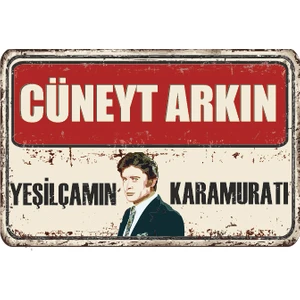 Hayat Poster Cüneyt Arkın Yeşilçam Retro Ahşap Poster