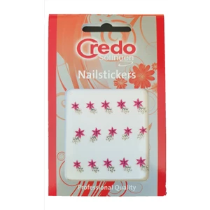 Credo Solingen  Nail Sticker 3D Tırnak Sticker Süsü Flowers