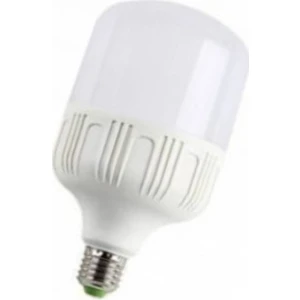 Fujika 30W Torch Led Ampul