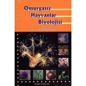 Palme Yayıncılık Omurgasız Hayvanlar Biyolojisi