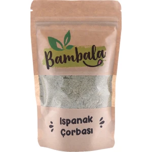 Ispanak Çorbası
