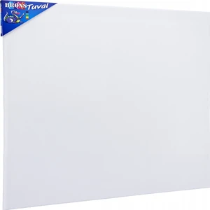 BR-367 60 x 80 Tuval