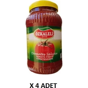 Tuzlu Domates Salçası Koli 3600 gr x 4'lü